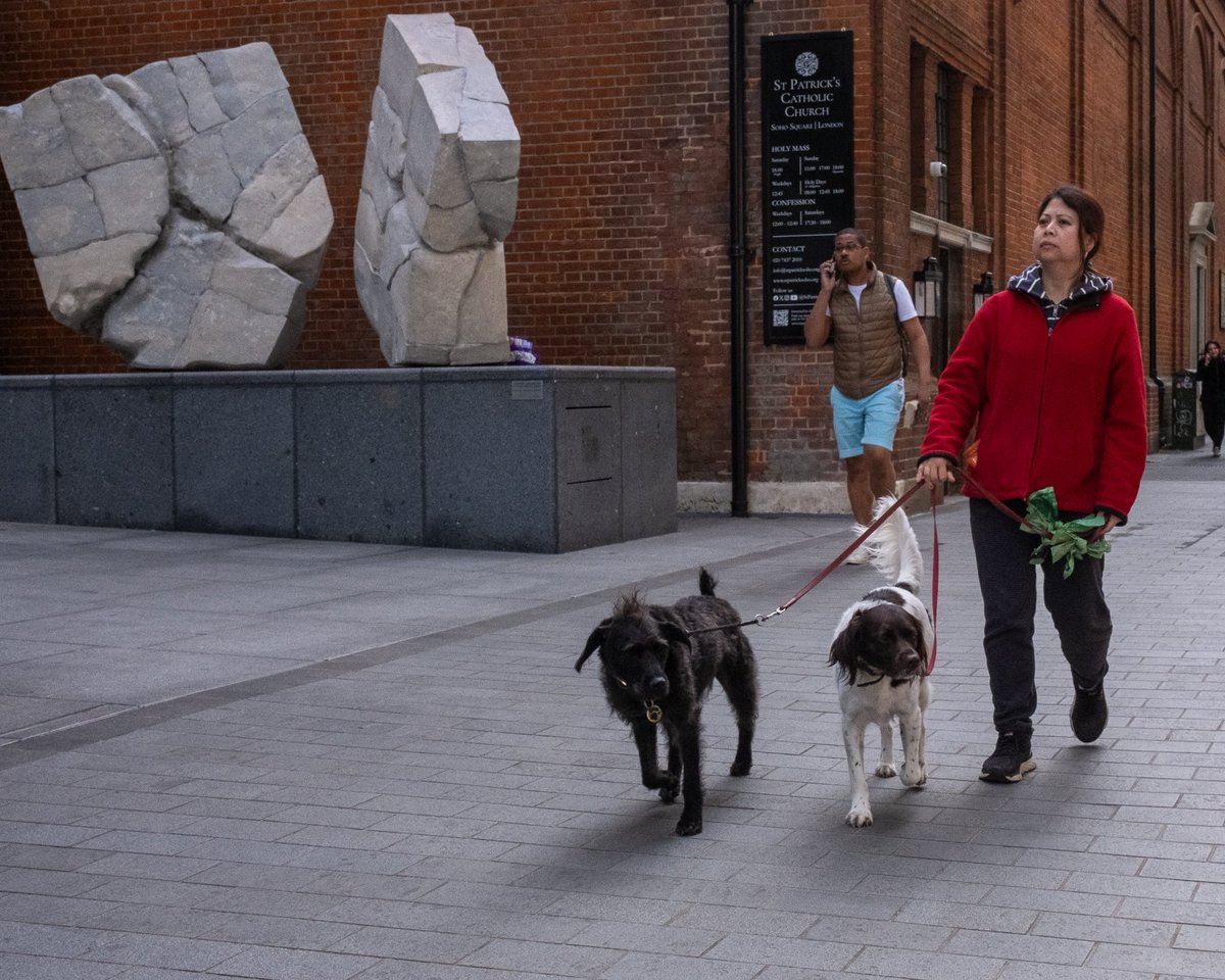 #otherpeoplesdogs #streetphotography #london #citydogs #dog