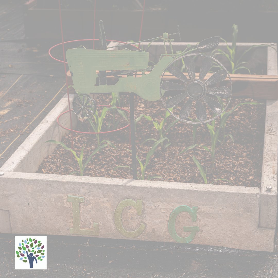 InCommunity2's tweet image. Happy Earth Day! InCommunity encourages safe, and healthy lifestyles that involve getting the individuals we support acquainted with the great outdoors. Here, attendees are seen visiting the Lanier Community Garden where they are taught to plant, tend, and harvest fresh produce.