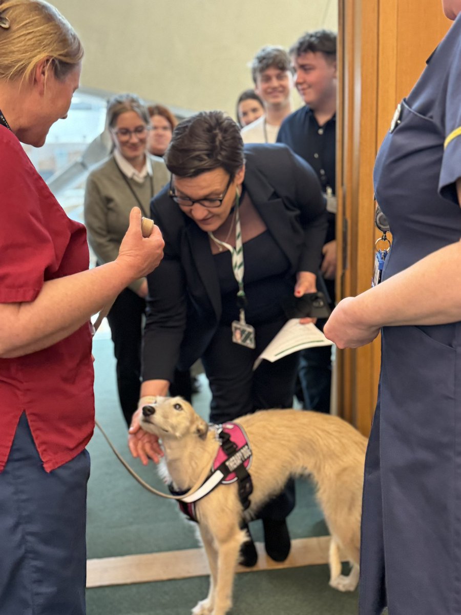 Busy Parliamentary event talking to MPs about access to rehab as the key to ensuring people live well for longer. Organised by <a href="/TantamKate/">Kate Tantam (She/her)</a> &amp; her brilliant #RehabLegends clinicians, Community Rehab Alliance partners (and star of the show therapy dog Poppy)  #RightToRehab