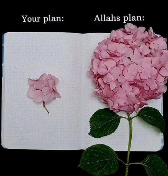 No doubt, Allah is the best planner ✨