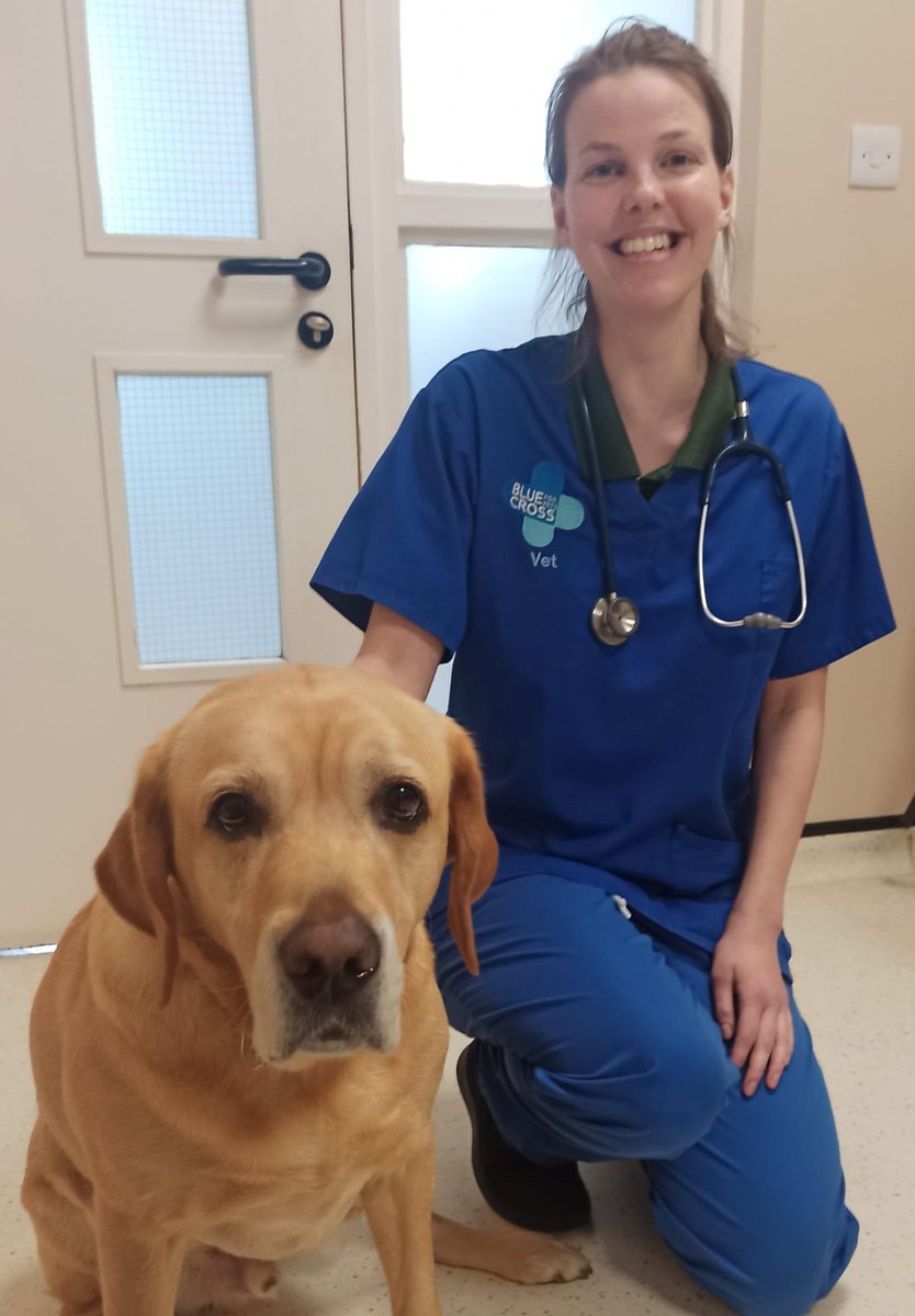 HMSWizardFS1's tweet photo. The children enjoyed meeting a real-life vet. They loved playing with her in our veterinary surgery in the nursery. @HMSWizardFS1 @PieCorbett @Talk4Writing @DeltaStrand #TheBlueCross https://t.co/N4W0eyJgJc