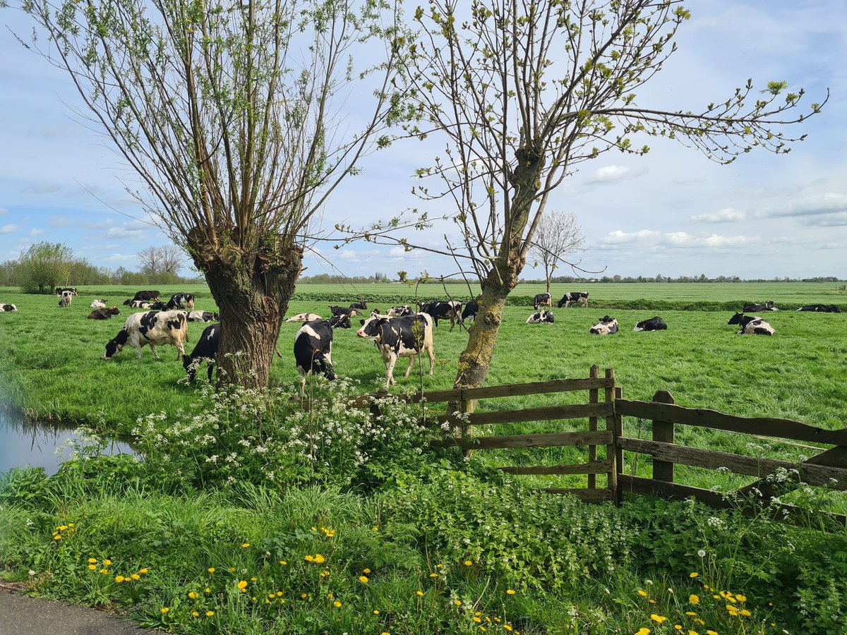 fradavco's tweet photo. @KritischePatri Steun de boeren https://t.co/dSaIZ0P3FU