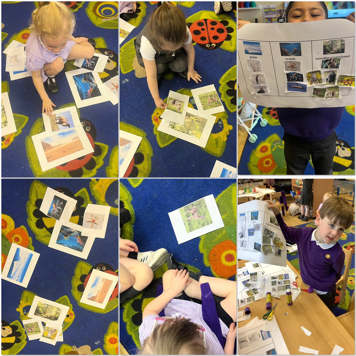 Today we explored different habitats.We thought about why we like our home and how animals homes can look very different from ours. We discussed why living things live in different environments. We then sorted animals into each habitat both as a group and independently <a href="/GarstonCE/">GarstonCE</a>