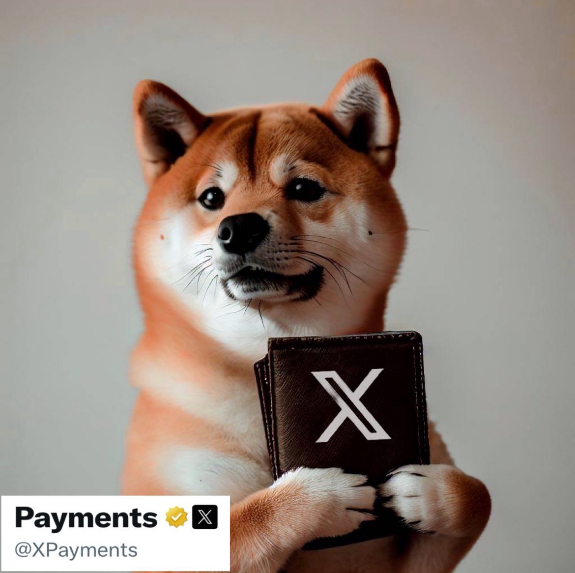 Developer at X, Christopher Stanley shares what X payments might look like in the near future Should #Dogecoin be part of the ecosystem?