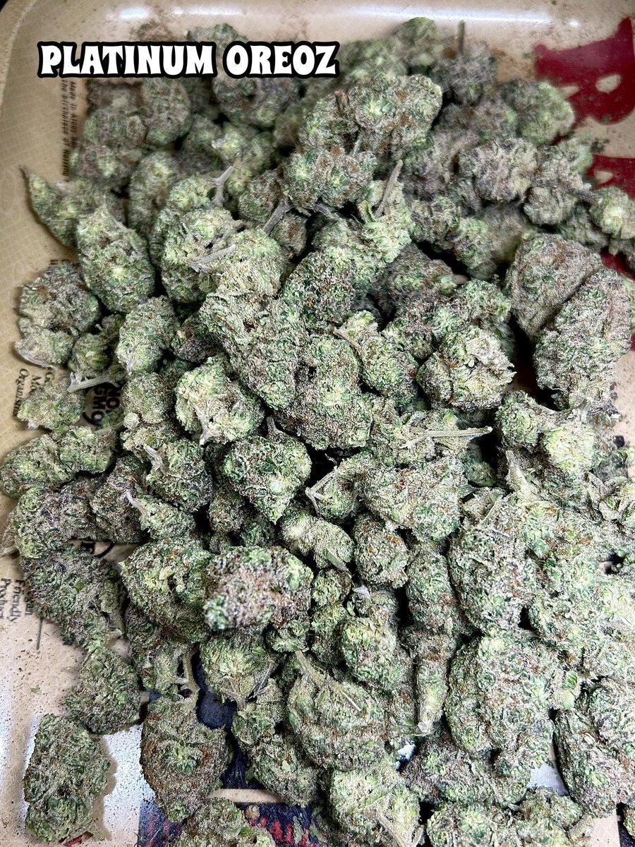 buzzthx999's tweet photo. จัดส่งทั่วไทย กทม. 24 ชม.🛵

📌Contact 
Facebook: GBuzz Grower 
👉 Line https://t.co/bxDDc9lOIj

#อิงล็อต #bangkokweed #thaigrower #กัญชากรุงเทพ #กัญชาog #กัญชามีนบุรี #กัญชาเชียงใหม่ #กัญชาลาดพร้าว #รัชดา #พัทยา #saveหยก  #legalweed #กัญชา #กัญชากรุงเทพ #เสียว #สขุมวิท #ลาดกะบัง https://t.co/7vtJMizW88