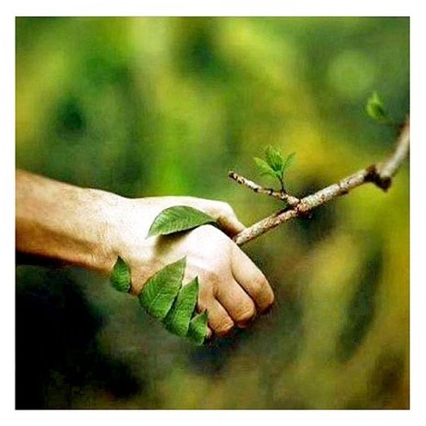 IrenaBuzarewicz's tweet photo. Happy Earth Day https://t.co/AwVdHFFL3x