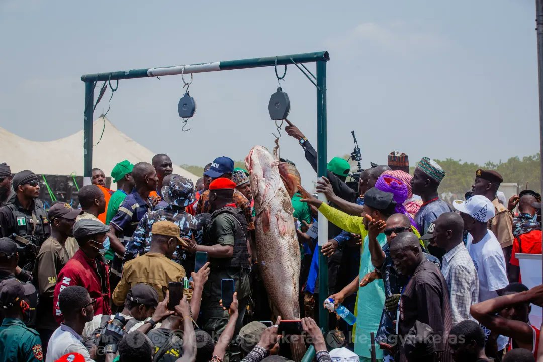 Pictures of the recently concluded Nwonyo International Fishing and Cultural Festival in Taraba state.

📷cc/Agbu Kefas media