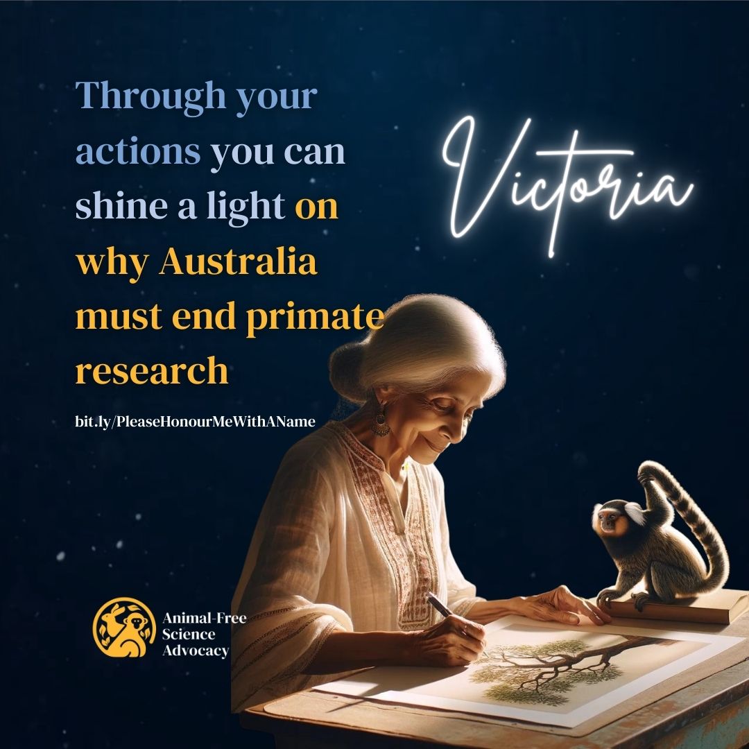 Today is World Day for Animals in Labs! #WWAL2024 Take action and honour #primates, sadly known only by ID numbers, not kindness. Find a story that speaks to you and honour them with a name: bit.ly/PleaseHonourMe…
Together we can end #AnimalExperimentation in #Australia!