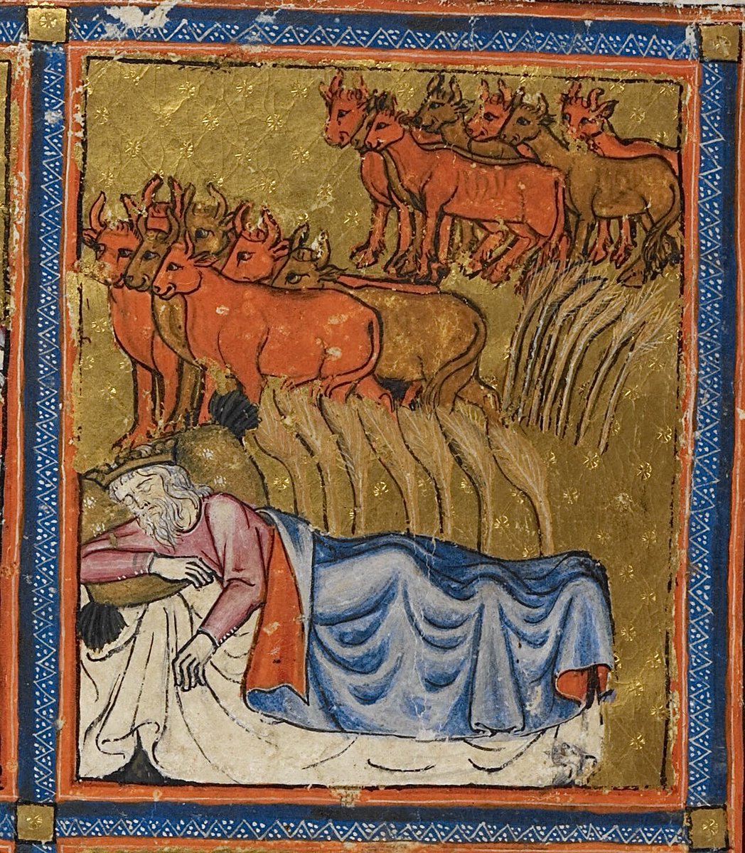 Sometimes you wake up in the morning and feel like a herd of cattle have been trampling on you in the night! BL Add 27210; the 'Golden Haggadah'; 14th century; Spain, N.E.; f.7r @BL_HebrewMSS @BLAsia_Africa