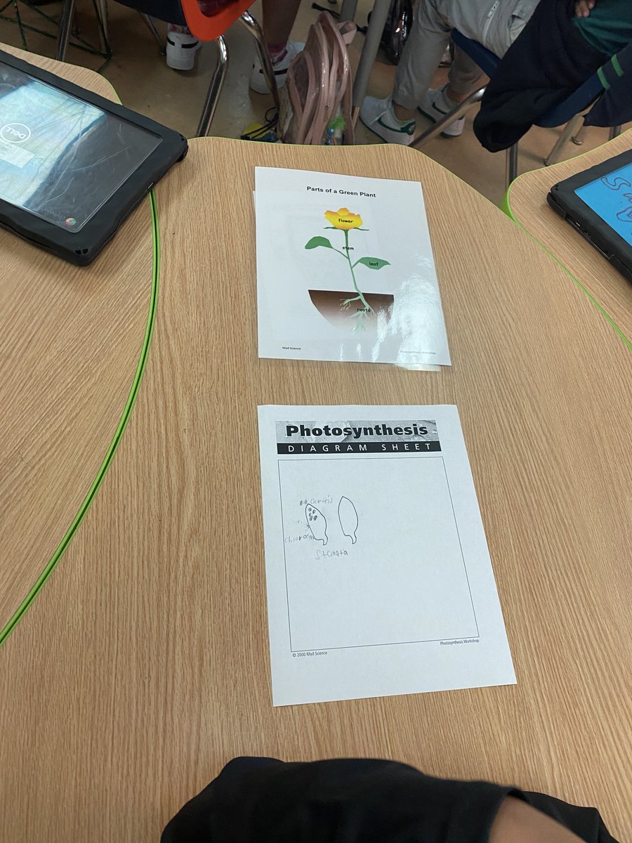 Joe Tobin tweet media