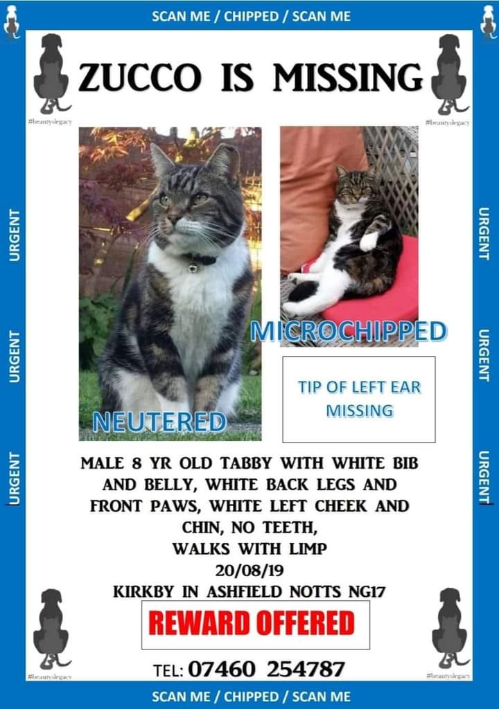 STILL  MISSING: ZUCCO 
#FindZucco 🇬🇧 
#missingcat 
#rehomehour 
#k9hour 
    RT   RT   RT