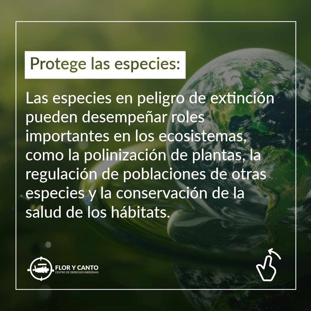 FloryCantoac's tweet photo. En el #DíaMundialDeLaMadreTierra 🌎 les compartimos algunos aspectos fundamentales que debemos hacer y promover para cuidar de ella. Compártenos en los comentarios qué otras acciones podemos poner en marcha. https://t.co/JGXOhkYqRG