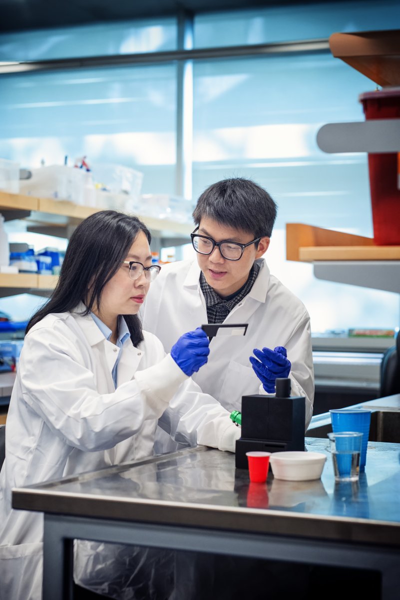 ubcLFS's tweet photo. 🌱 Happy Earth Day! 🌱
This year's theme, "Planet vs. Plastics," advocates for a plastic-free world for future generations.
Check out #ubcLFS Assistant Professor Tianxi Yang's portable device that measures the amount of plastic in our food and water: https://t.co/6186hYitZd https://t.co/55q4NFkZXw