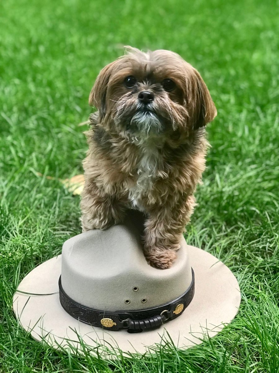 This Earth Day, explore how to be a conservation-minded pet-parent, recreate responsibly, conserve water, and many other ways that you can help protect our natural world through small actions in your home, community, and region. 

nps.gov/klse/getinvolv…