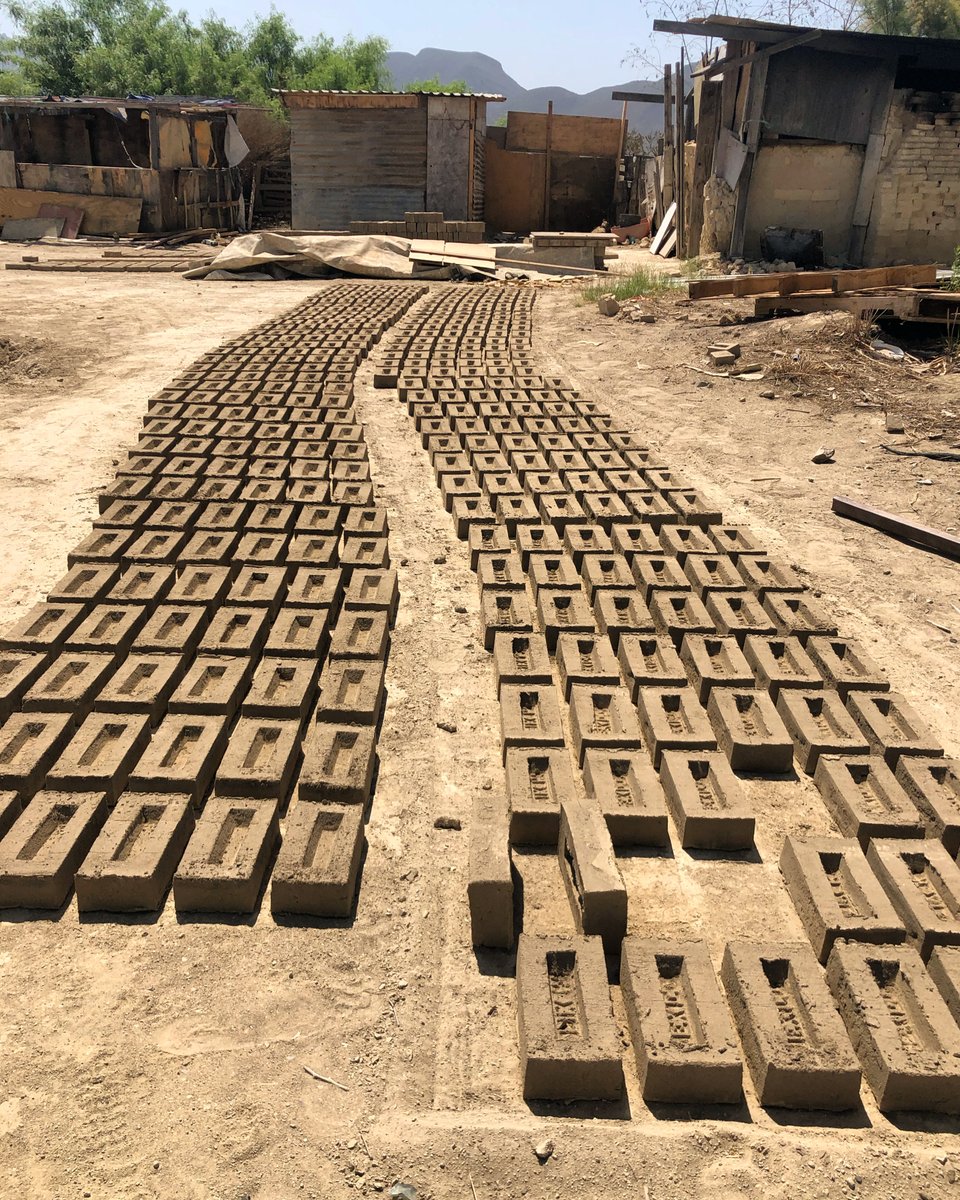 La restauración de los saberes ancestrales que están implícitos en cada adobe o muro de ocotillos, es algo que coadyuva en bajar el impacto de la huella de carbono en el medio ambiente y eso es algo que nos beneficia a todos 2/4 🧵 #DiadeLaTierra