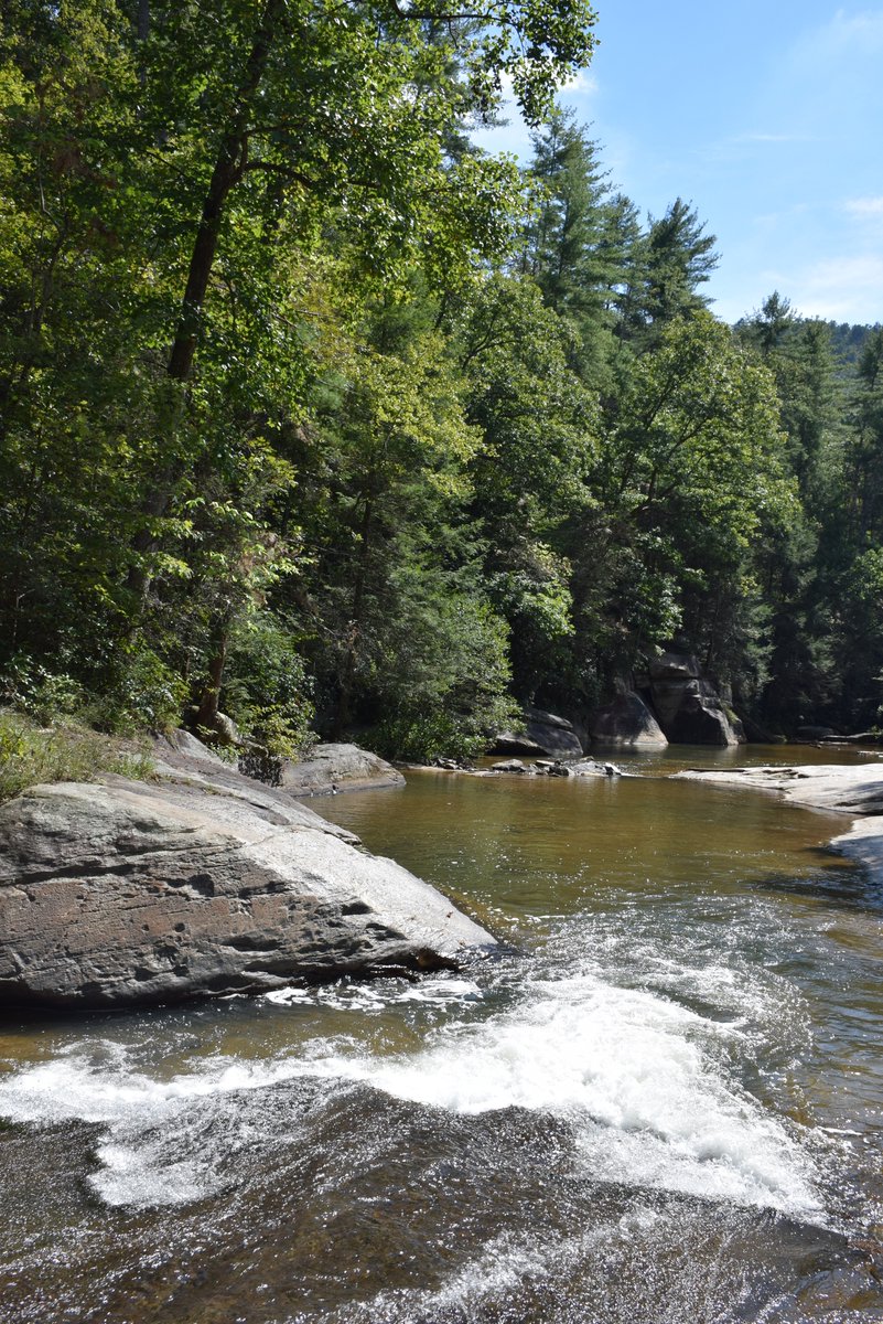 Happy Earth Day! 🌍️ To celebrate #EarthDay, try to get outside and explore one of our State Forests in South Carolina. To learn more about South Carolina's State Forests, please visit scfc.gov/state-lands/.