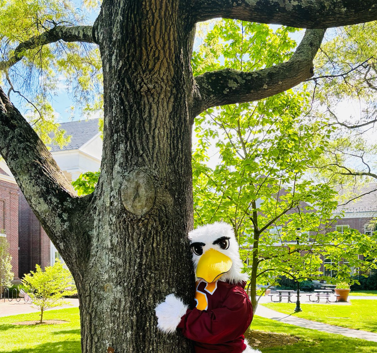 🌍 Happy Earth Week, Sea Gulls! 🌱 Let's show Mother Nature some love, even if it means a little tree-hugging (literally)! 🌳 Check out the awesome lineup of events to celebrate our wonderful planet: bit.ly/3W56z8c