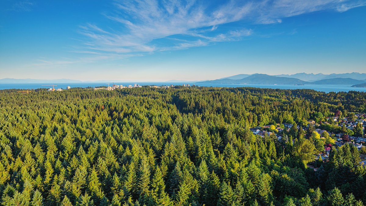 Every day, 40+ @UBC research groups are exploring sustainable solutions for the planet. From wildfires to next-gen batteries, sustainability has been core to our mission for over 25 years. This #EarthDay, let's act decisively. Read more: bit.ly/49Ijgcl @policy_mag