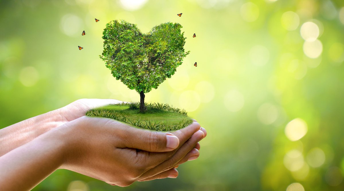 “You cannot get through a single day without having an impact on the world around you.” 
—Jane Goodall🌎
#LongIslandLaparoscopicSurgery #DrAhmadMD #BariatricSurgery #LongIsland #earthday #protecttheplanet #nature #environment #worldearthday #Sustainability #earthday2024