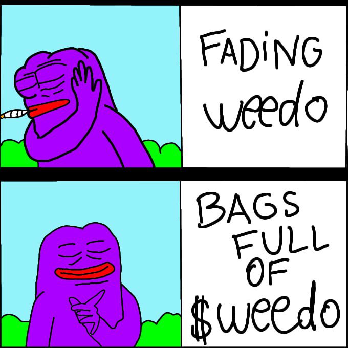 RaikouIL's tweet photo. @1000xgirl $WEEDO straight to the moon if you have some weedo bags https://t.co/NosN6JGQPz