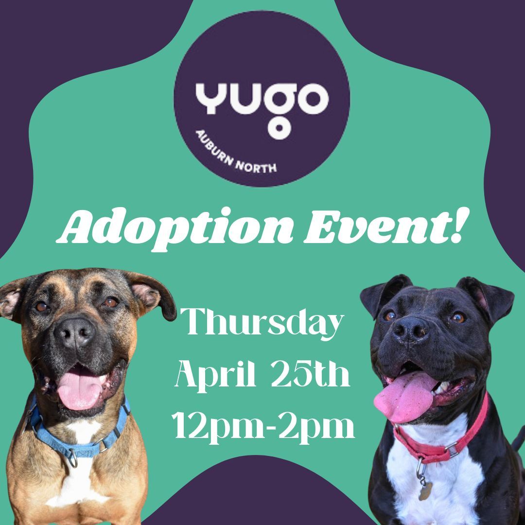 Join us for a tail-wagging good time at Yugo Apartments this Thursday, April 25th, from 12-2 pm! Come meet our adorable pups who are looking for their forever homes! Whether you're ready to adopt or just want some puppy cuddles, we'd love to see you there!
