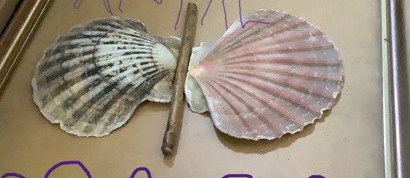 Springwood_Prm's tweet photo. Year 1 and Year 1/2 have been exploring loose parts to create butterflies as part of the journey of the hungry caterpillar #SpringLLC https://t.co/3gRggdvNYR