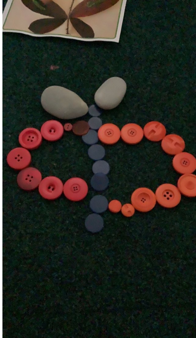 Springwood_Prm's tweet photo. Year 1 and Year 1/2 have been exploring loose parts to create butterflies as part of the journey of the hungry caterpillar #SpringLLC https://t.co/3gRggdvNYR