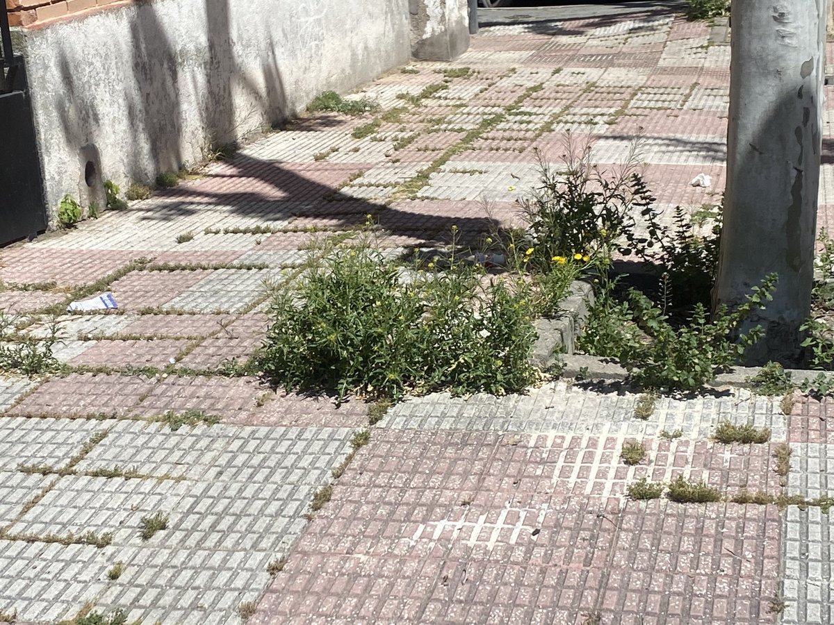 ReichPp's tweet photo. @AytoLeganes A parte de todas las actividades para los vecinos de Leganes, que me parecen estupendas! Por favor, cuide un poco el pavimento y presten atención a la limpieza de las calles del municipio, no sigas la estela del anterior gobierno . Renfe central Leganes https://t.co/fduSPlbImP