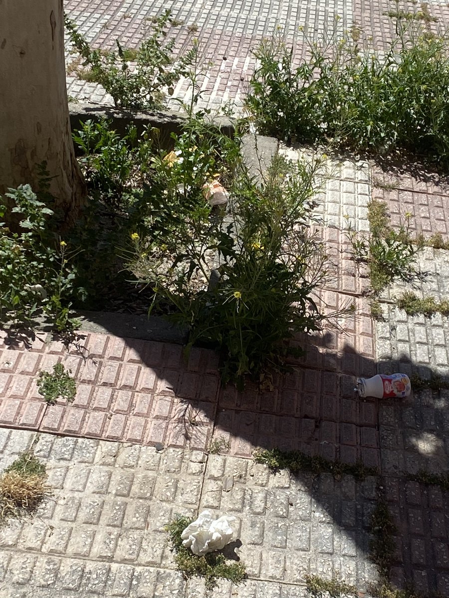 ReichPp's tweet photo. @AytoLeganes A parte de todas las actividades para los vecinos de Leganes, que me parecen estupendas! Por favor, cuide un poco el pavimento y presten atención a la limpieza de las calles del municipio, no sigas la estela del anterior gobierno . Renfe central Leganes https://t.co/fduSPlbImP
