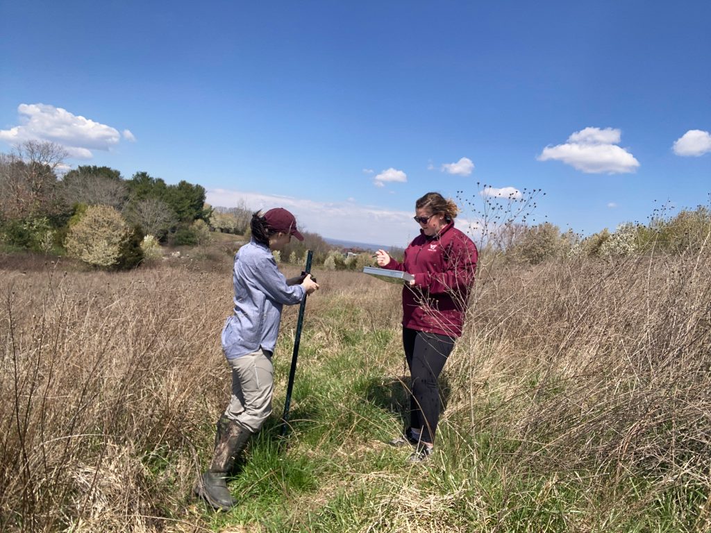 On #EarthDay2024 , @globalchangevt and @ISWGvt graduate researchers Grace O'Malley and @gnriparian discovered the silent growth of non-native invasive plants can affect the soundscape of an ecosystem, a novel research approach published in @ESA_org. bit.ly/4aH5oQM