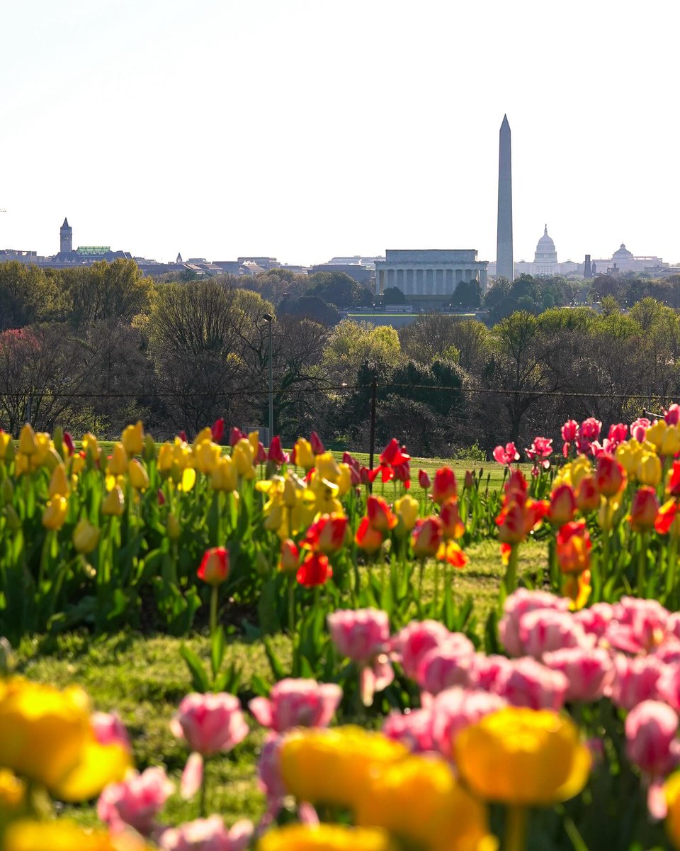 Happy Earth Day! Today, and every day, let's celebrate the magnificent planet we call home! 🌏💚 #AllinArlington
📷: emilygoesplaces - IG