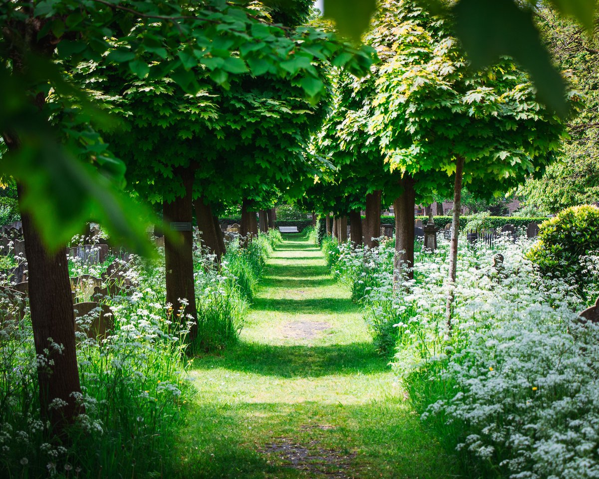 4 mei: rondleiding ‘Gouda in de oorlog’ 
 
De Oude Begraafplaats #Gouda organiseert op zaterdag 4 mei twee keer (13.30 en 14.30) een rondleiding van ongeveer een uur met als thema ‘Gouda in de oorlog’.  Deelname is gratis. bit.ly/4aRt1X6