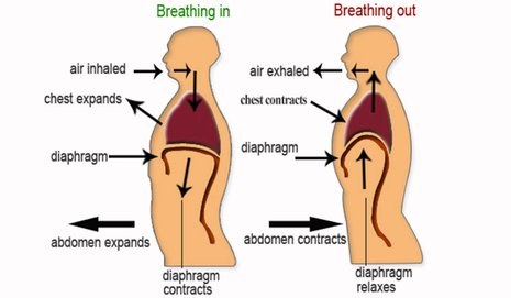 Take less but deeper breathes. (Diaphragmatic breathing) Most people are over-breathing. Over-breathing can cause: - Headache - Reduced oxygen delivery to tissues and organs - Brain fog - Racing heartbeat - Constriction of muscles surrounding blood vessels & airways - Anxiety