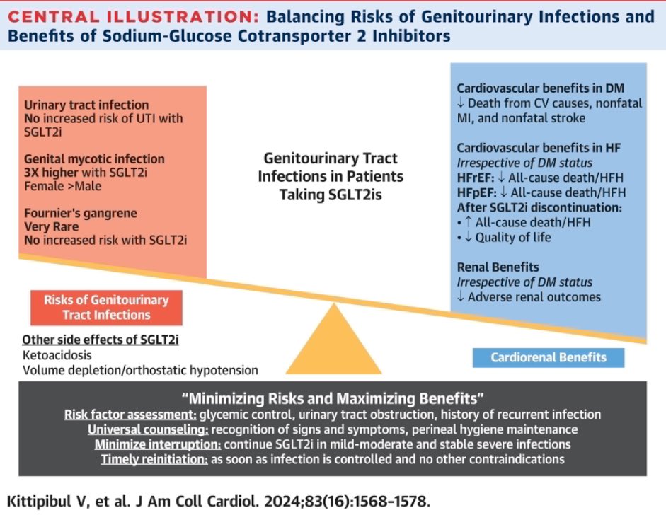 🟢Genitourinary Tract Infections in Patients Taking SGLT2I: 👉SGLT2is is associated with an ↗️ risk of GMI but not UTI or necrotizing fasciitis of the perineum (Fournier’s gangrene). 👉 benefits of SGLT2is usually outweigh the risk of treatment-associated GU infections. 👉In