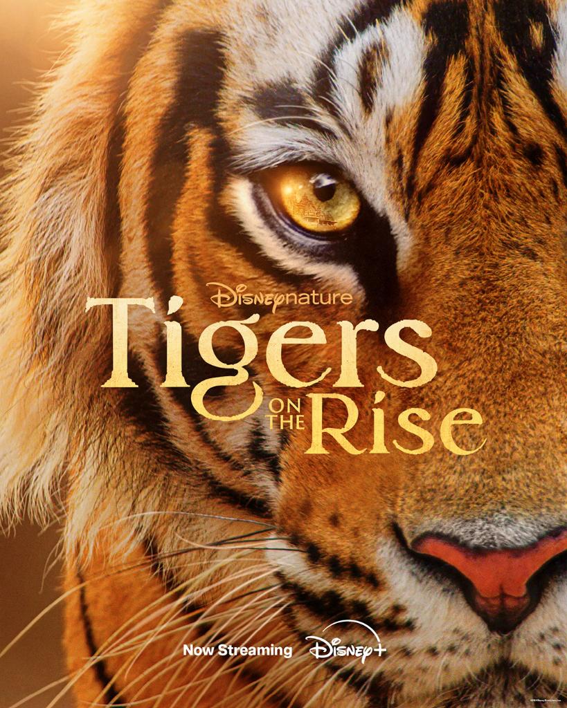 Disneynature’s “Tigers on the Rise,” a companion film to #Tiger narrated by Blair Underwood, now also available on Disney+ Canada 🐅