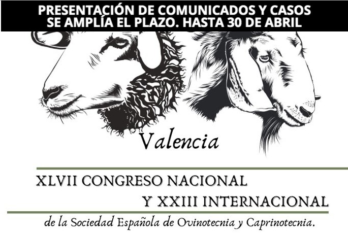 congresoSEOC2026 tweet media