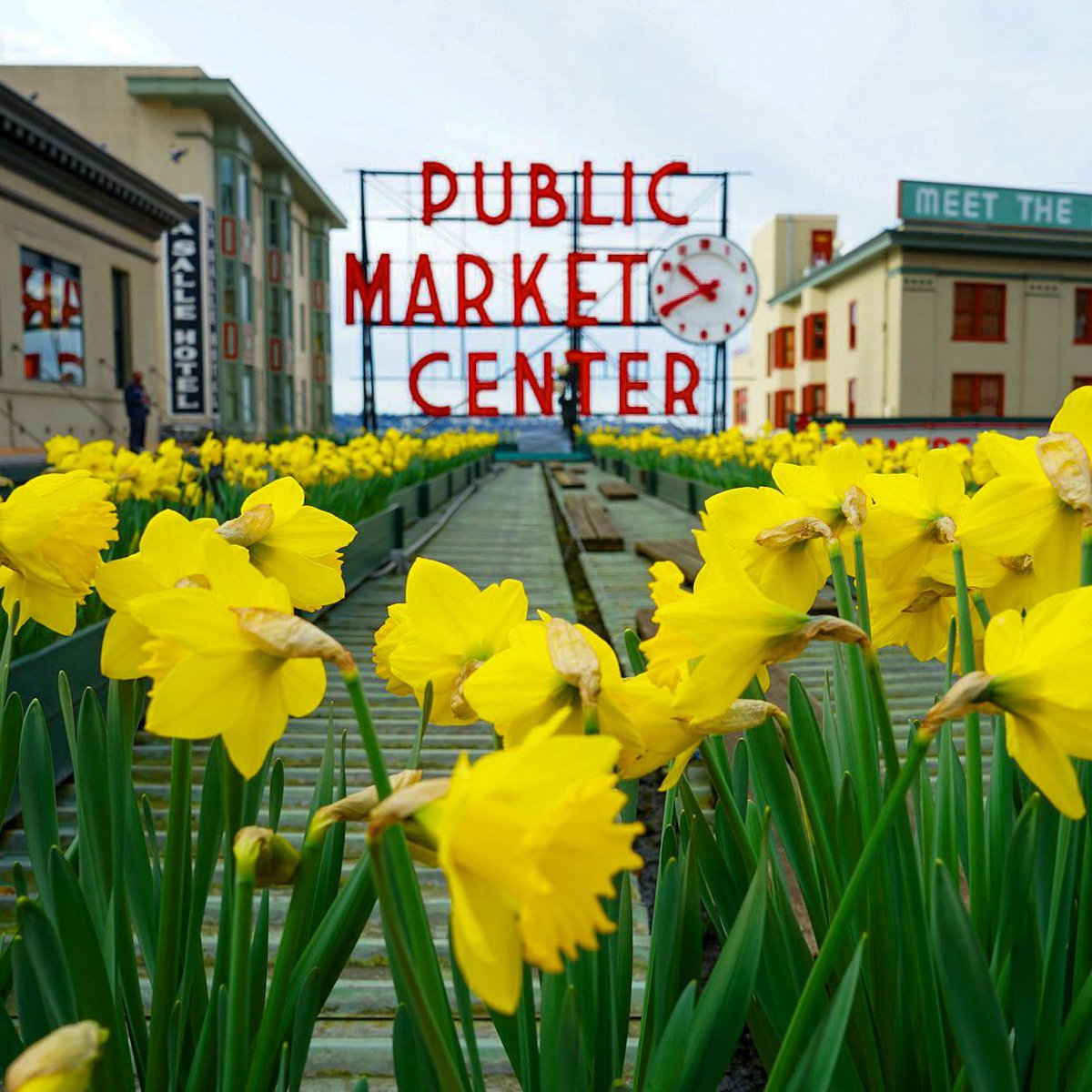 Happy #EarthDay! 🌎 All across #PikePlaceMarket, discover eco-conscious businesses offering uniquely renewed goods. Explore 11 eco-friendly and sustainable shops in Pike Place Market selling apparel, accessories, musical instruments, skincare and more! 👉 pikeplacemarket.org/12-eco-friendl…