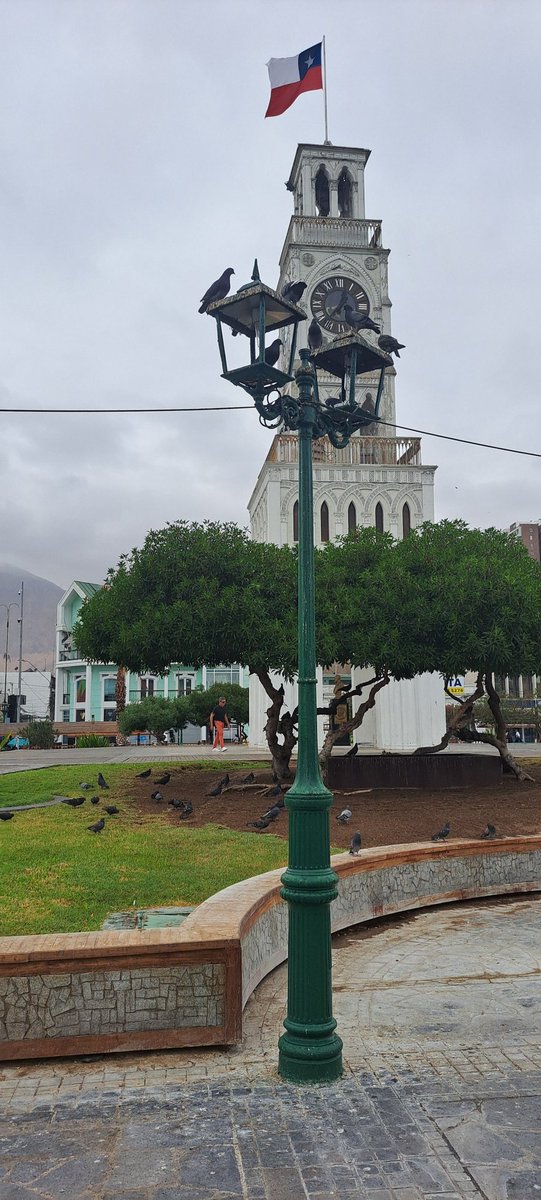 @IquiqueDeTodos #Iquique Quién los fiscaliza a uds para que cumplan con sus obligaciones?La Plaza Prat es un asco con todas sus luminarias rotas y con nidos de palomas y mugre! Y eso viene de hace rato..@GallineroIQQ