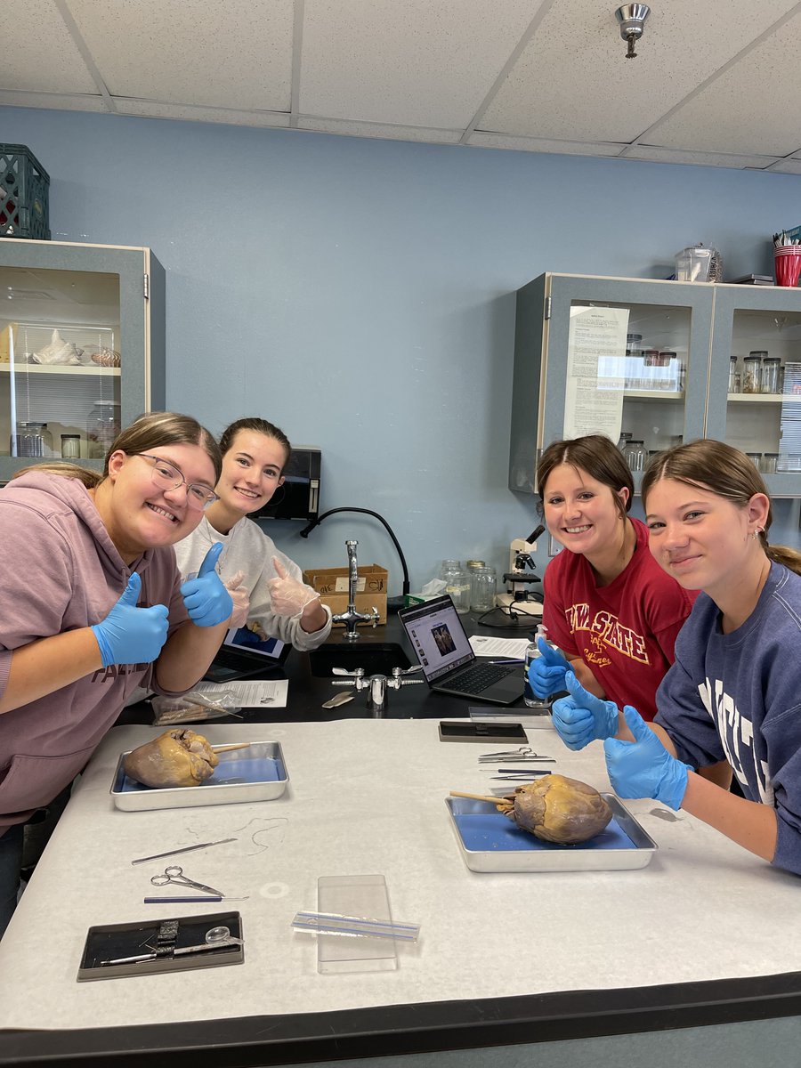 Today in Mr. Dalton's anatomy class, students delved into the intricate world of biology by dissecting pig hearts! 

A huge shoutout to our brave pig donors, whose incredible gift of knowledge continues to inspire us. 🐷💖

#AnatomyClass #HandsOnLearning #ScienceIsAwesome 🧠🔍