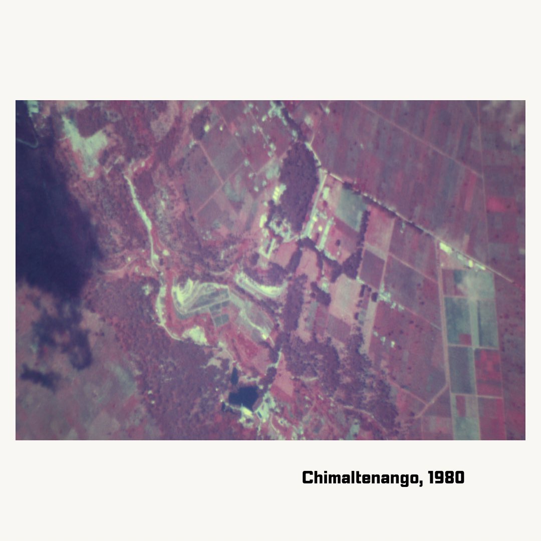 Friends of FAFG tweet media