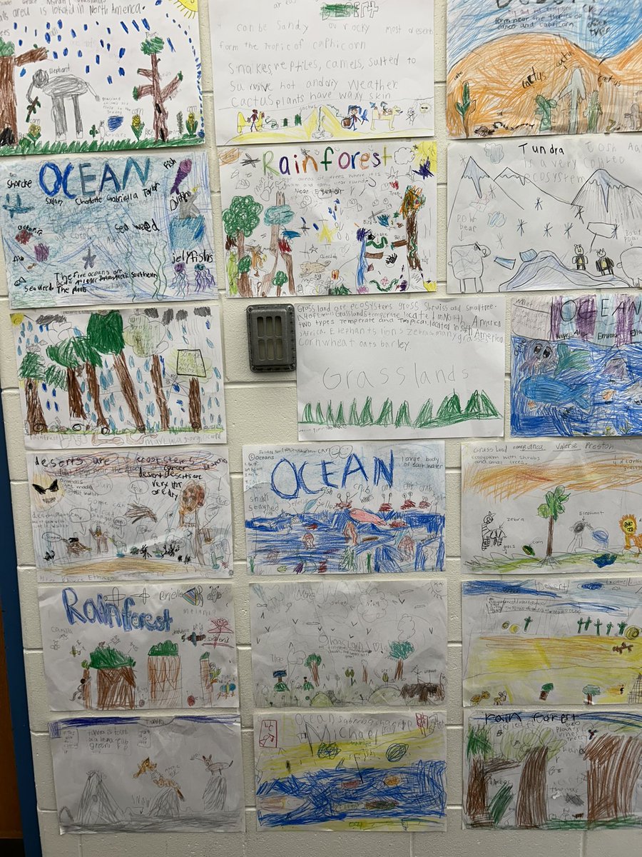 First graders are wrapping up their habitat research with these awesome posters! Stop in the library to learn some new facts and see their hard work.