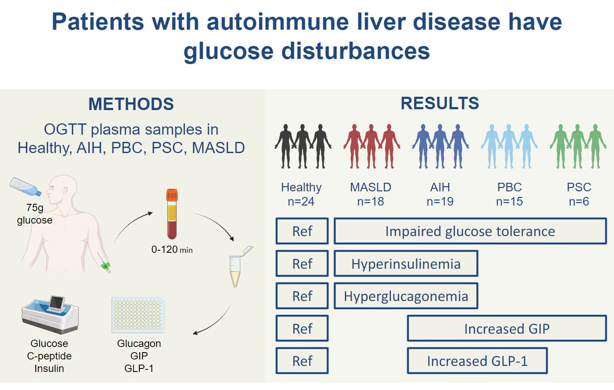 Patients with autoimmune liver disease have glucose disturbances that mechanistically differ from steatotic liver disease Recently out in @ajpgi: pubmed.ncbi.nlm.nih.gov/38625142/ 👌