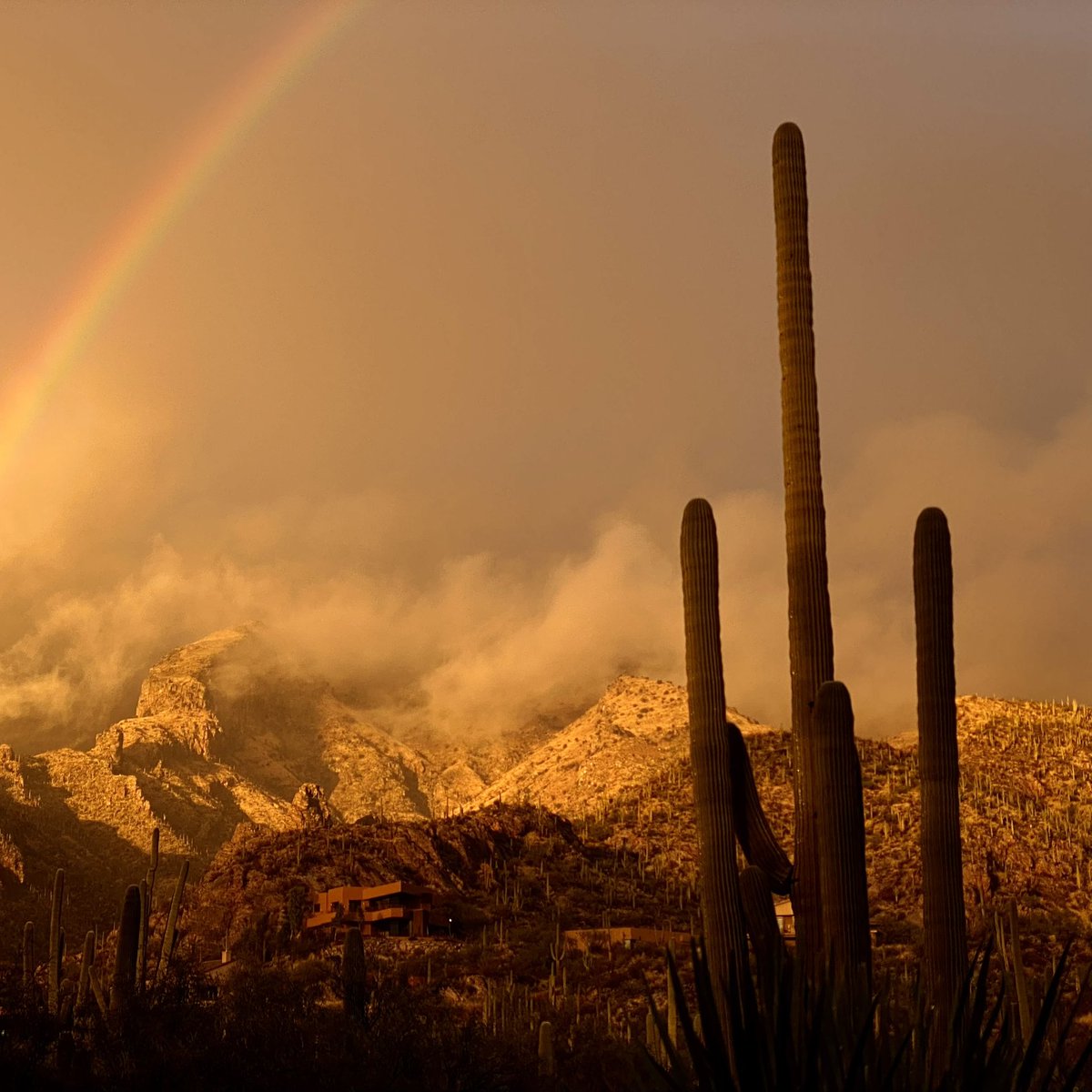 Taking this Earth Day to appreciate the beautiful state we live in. 🌵😊

Photo: Chris Richards