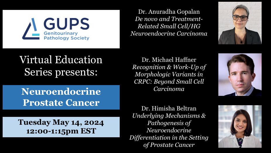 GU_Path_Society's tweet photo. **GUPS Virtual Education Series - May 2024 Event**

When: May 14, 2024 12:00 PM Eastern Time (US and Canada)
Topic: Neuroendocrine Prostate Cancer
 
Register in advance for this webinar:
https://t.co/LOFwiuBTGk https://t.co/FTCN9pUL1D