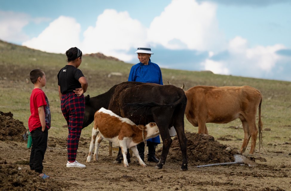 Avui #DiaDeLaTerra recordem que el pastoralisme és una adaptació a la variabilitat ecològica i climàtica i no és simplement un sistema de producció ramadera, sinó que proporciona importants serveis ambientals a la humanitat 🌍Les pastures cobreixen 1/3 de la superfície terrestre!