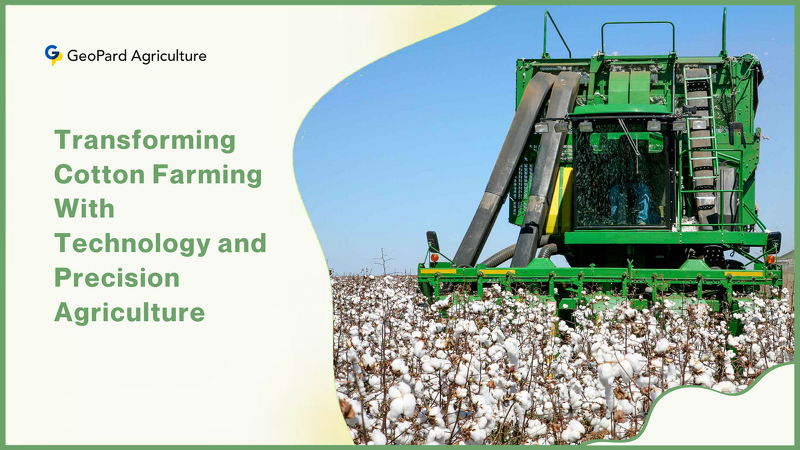 Cotton Grower: Cotton Incorporated's goal is to enhance the profitability of cotton production through research. 
#geopard #precisionagriculture #cropmonitoring

geopard.tech/blog/transform…