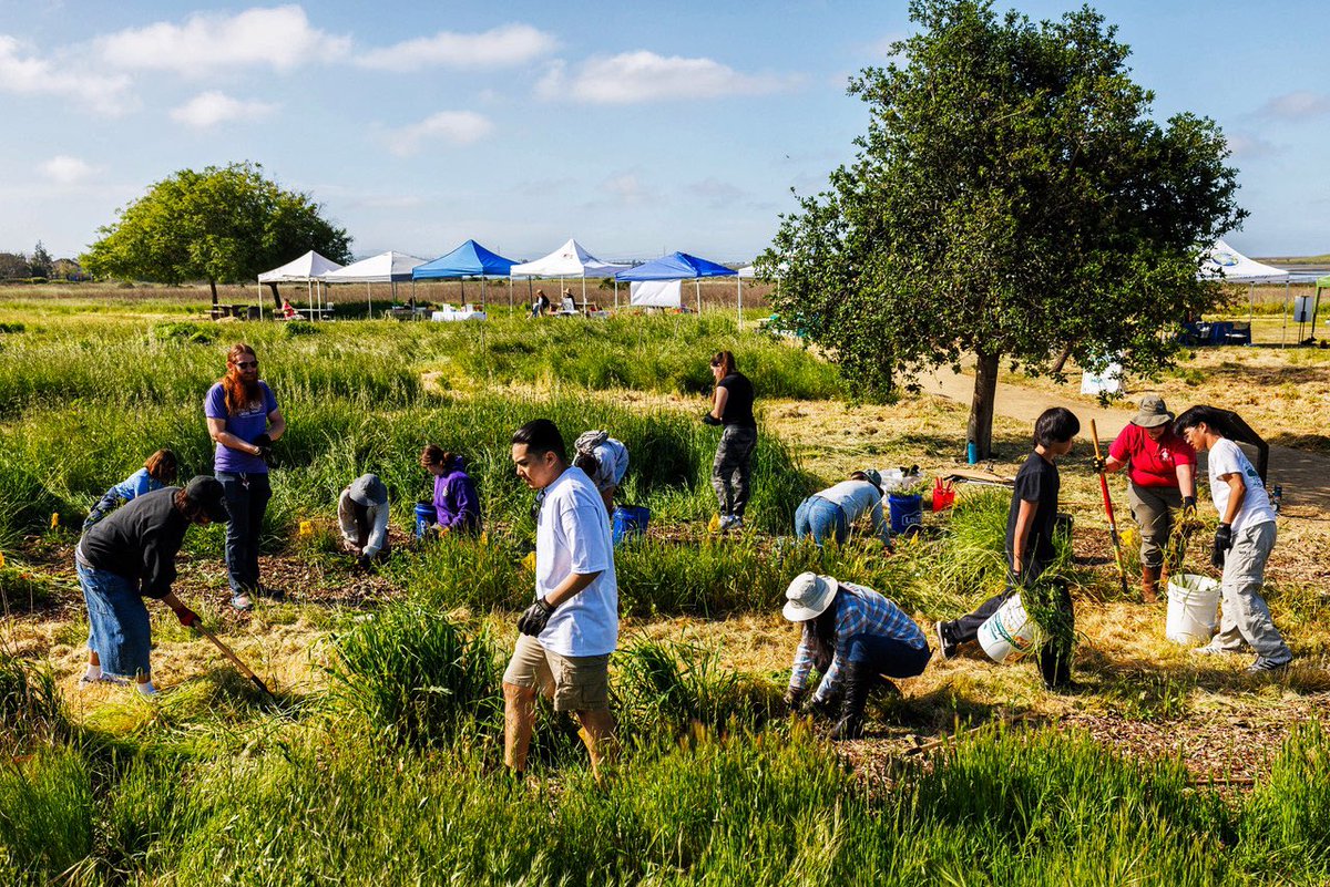 nick otto tweet media