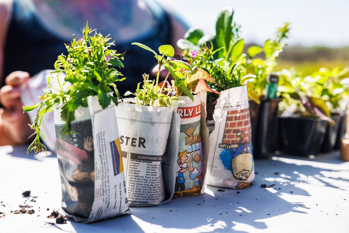 nick otto tweet media