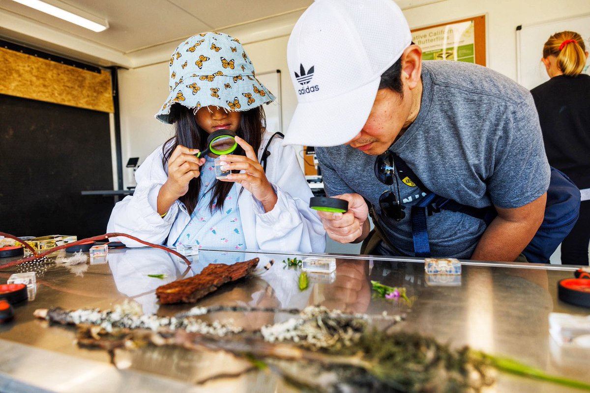 nick otto tweet media