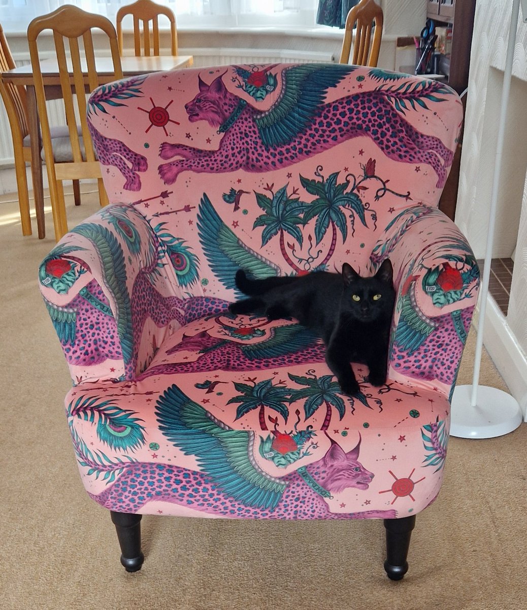 Different cat, same chair (and fabulous painting)